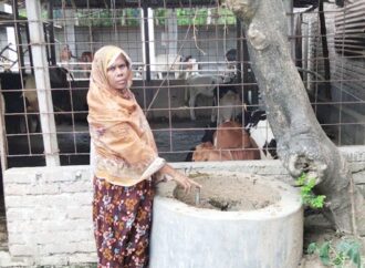 গ্রামের নারীদের অনুপ্রেরণা মুর্শিদা