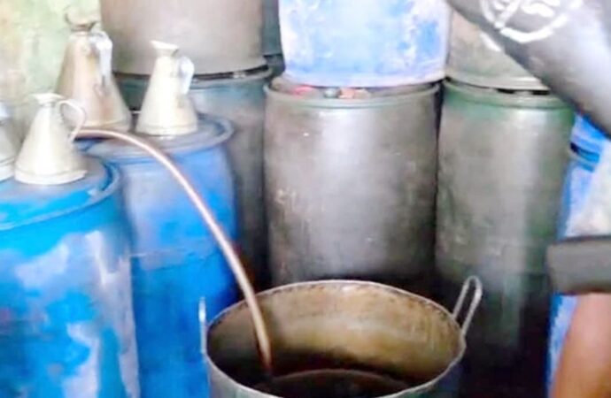 গোয়াল ঘরে মিলল দেড় হাজার লিটার তেল!