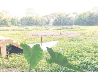 কালের সাক্ষী চারশ বছরের আলগী দিঘি