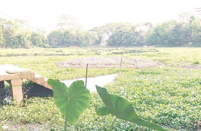 কালের সাক্ষী চারশ বছরের আলগী দিঘি