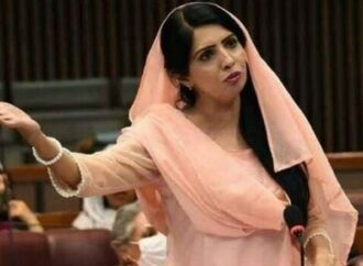 পিটিআই নেতা আলিয়া হামজা মালিক গ্রেফতার