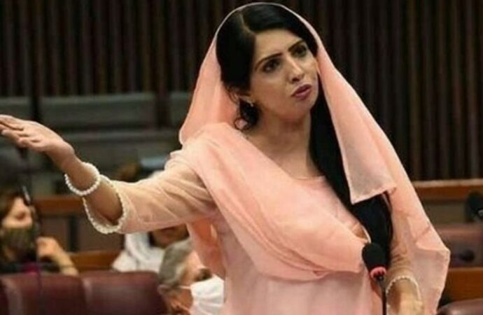 পিটিআই নেতা আলিয়া হামজা মালিক গ্রেফতার