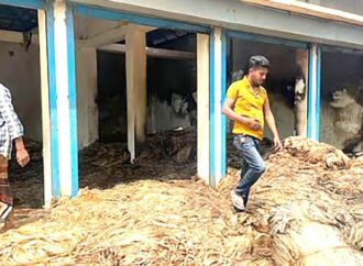 ফরিদপুরে পাটের গুদামে আগুন, ৩০ লাখ টাকার ক্ষতির দাবি