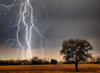 নওগাঁ ও ঝিনাইদহে বজ্রপাতে তিন কৃষকের মৃত্যু, আহত ৭