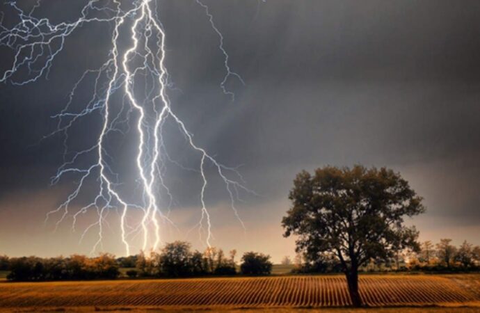 নওগাঁ ও ঝিনাইদহে বজ্রপাতে তিন কৃষকের মৃত্যু, আহত ৭
