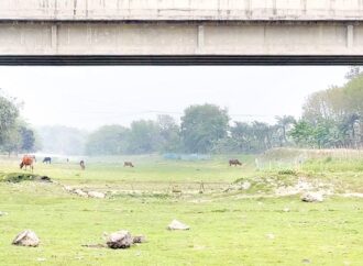 দখল, দূষণ আর খননের অভাবে ঝিনাইদহে মরা ১২ খাল-নদী
