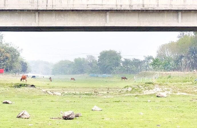 দখল, দূষণ আর খননের অভাবে ঝিনাইদহে মরা ১২ খাল-নদী