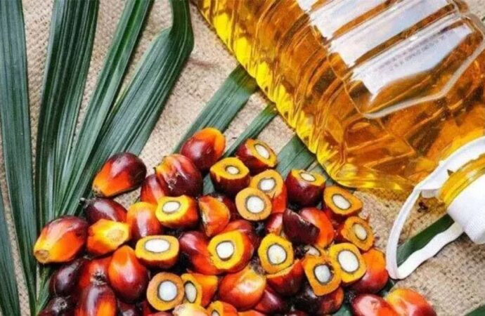 বিশ্ববাজারে পাম অয়েলের দামে বড় দরপতন
