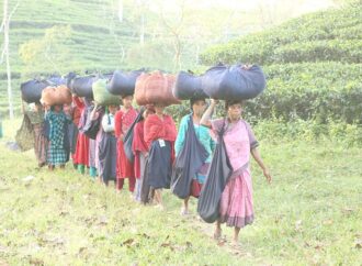 প্রভিডেন্ট ফান্ডের শত কোটি টাকা বকেয়া, অনিশ্চিত গন্তব্যে হাজারো চা শ্রমিক