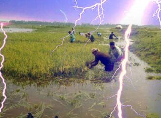 সুনামগঞ্জে বজ্রপাতে ৫ জনের মৃত্যু