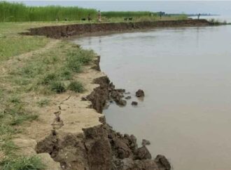 গোয়ালন্দে অসময়ে পদ্মার ভাঙন, বিলীন হচ্ছে কৃষিজমি-বসতভিটা