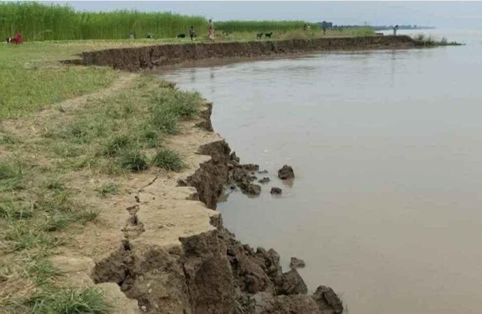 গোয়ালন্দে অসময়ে পদ্মার ভাঙন, বিলীন হচ্ছে কৃষিজমি-বসতভিটা