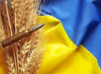 ইউক্রেনের শস্য রপ্তানিতে বড় পতন