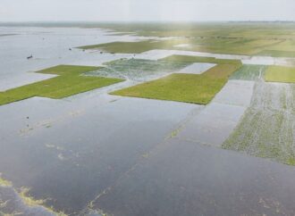 অতিবৃষ্টিতে ডুবছে জমি, কাঁদছে কৃষক