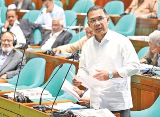 হাওরাঞ্চলের ক্ষতিগ্রস্ত কৃষকদের তিন মাস সহায়তা দেবে সরকার: সংসদে প্রধানমন্ত্রী