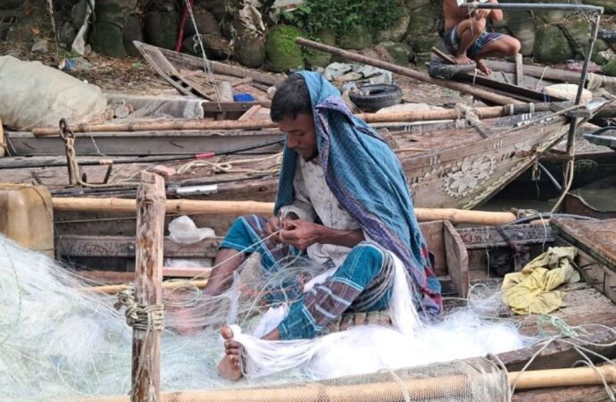 নিষেধাজ্ঞা শেষে পদ্মা-মেঘনায় ফিরছেন জেলেরা: মধ্যরাত থেকে ইলিশ ধরা শুরু