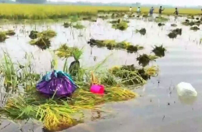 নাসিরনগরে পানিতে জমির সব ধান তলিয়ে যেতে দেখে কৃষকের মৃত্যু
