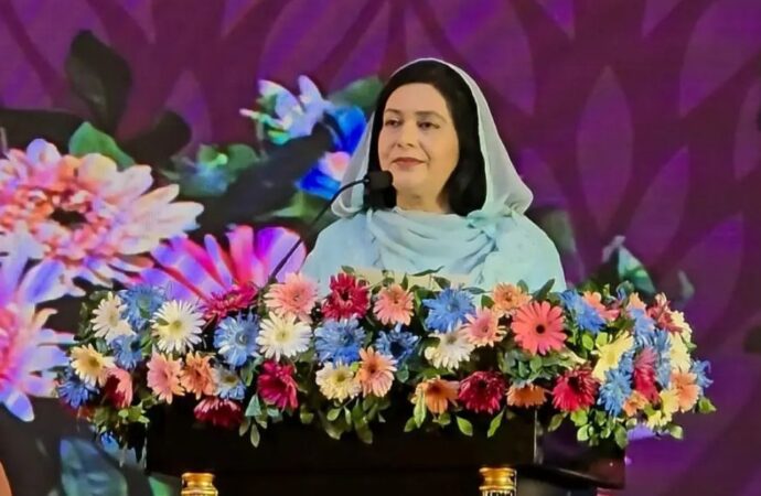 নারীর ক্ষমতায়ন ও কন্যার নিরাপত্তা নিশ্চিতে ডা. জুবাইদা রহমানের জোরালো আহ্বান