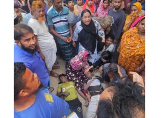 নারায়ণগঞ্জে লেকের পানিতে ডুবে দুই কিশোরের মৃত্যু