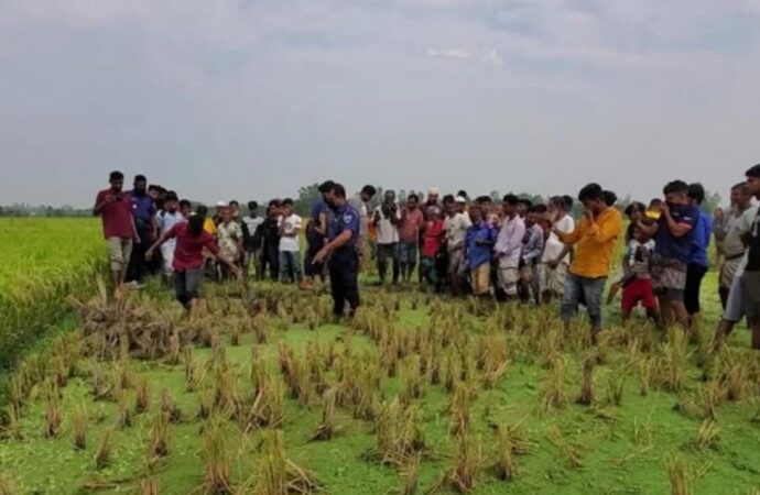 জয়পুরহাটে ধানক্ষেতে হাত পা বাঁধা লাশ উদ্ধার