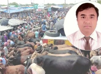 কোরবানির পশু থেকে মানুষে ছড়াতে পারে প্রাণঘাতী রোগ, সতর্ক করলেন বাকৃবি অধ্যাপক