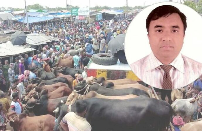 কোরবানির পশু থেকে মানুষে ছড়াতে পারে প্রাণঘাতী রোগ, সতর্ক করলেন বাকৃবি অধ্যাপক