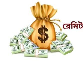 ১৯ দিনেই দেশে এল ২৪৮ কোটি ডলার রেমিট্যান্স