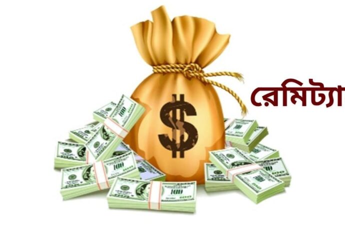 ১৯ দিনেই দেশে এল ২৪৮ কোটি ডলার রেমিট্যান্স