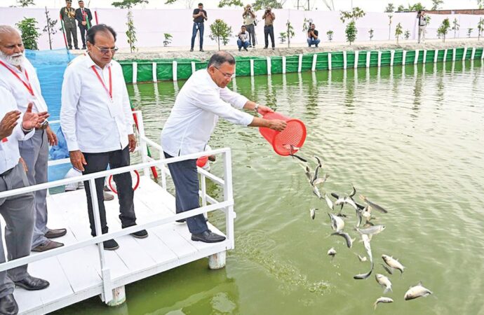 শুধু পদ্মা ব্যারেজ নয়, তিস্তা প্রকল্পও হাতে নেবে সরকার