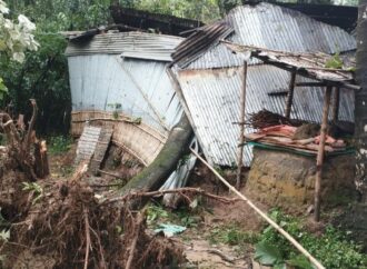 নালিতাবাড়ীতে টর্নেডোতে প্রাণ গেল বৃদ্ধার
