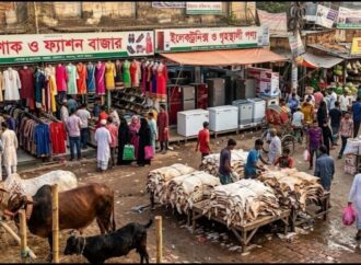 কোরবানির ঈদ ঘিরে দেশের অভ্যন্তরীণ বাজারে চার লাখ কোটি টাকার বাণিজ্যের আভাস