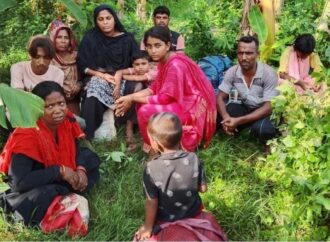 অবৈধভাবে দর্শনা সীমান্ত অতিক্রমকালে নারী ও শিশুসহ আটক ১০