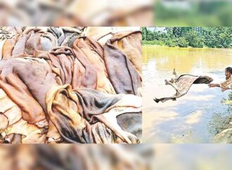 সিন্ডিকেটে জিম্মি চামড়ার বাজার, শিল্প ভাসে পানিতে
