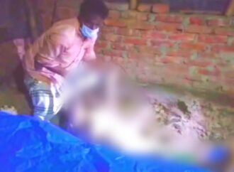 ৩ হাজার টাকার জন্য মাকে হত্যা