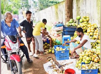 মৌলভীবাজারে তীব্র গরমে স্বস্তি দিচ্ছে কচি তালের শাঁস