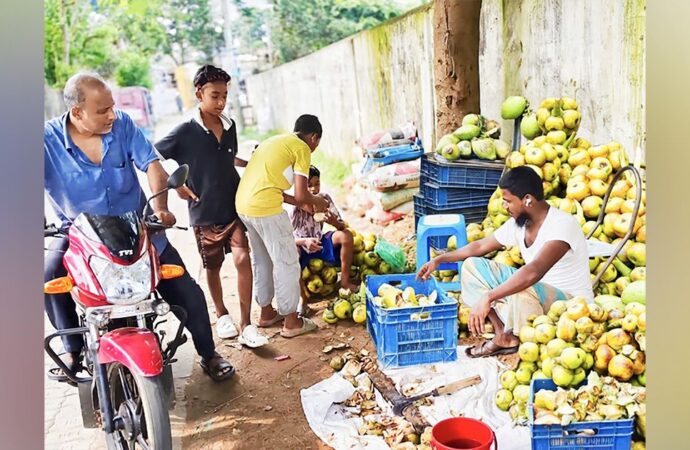 মৌলভীবাজারে তীব্র গরমে স্বস্তি দিচ্ছে কচি তালের শাঁস