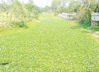 দখল-দূষণ বাড়ায় হুমকিতে গাইবান্ধার আলাই নদী
