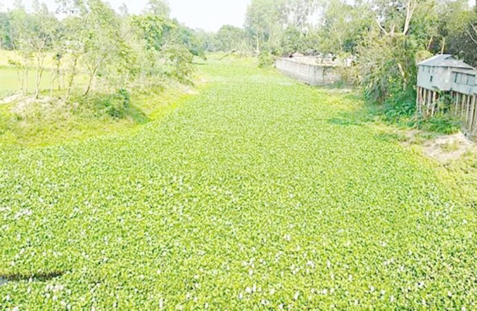 দখল-দূষণ বাড়ায় হুমকিতে গাইবান্ধার আলাই নদী