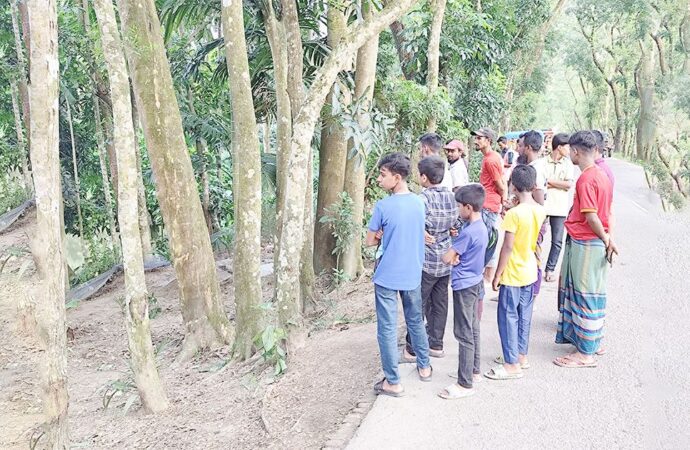 ‘কবরে জীবিত’ স্বপ্নের জেরে ১৮ দিন পর তরুণীর কবর খুঁড়লেন স্বজনরা
