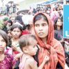 বিশ্বের রাষ্ট্রহীন মানুষের ৪১ শতাংশই রোহিঙ্গা: ইউএনএইচসিআর