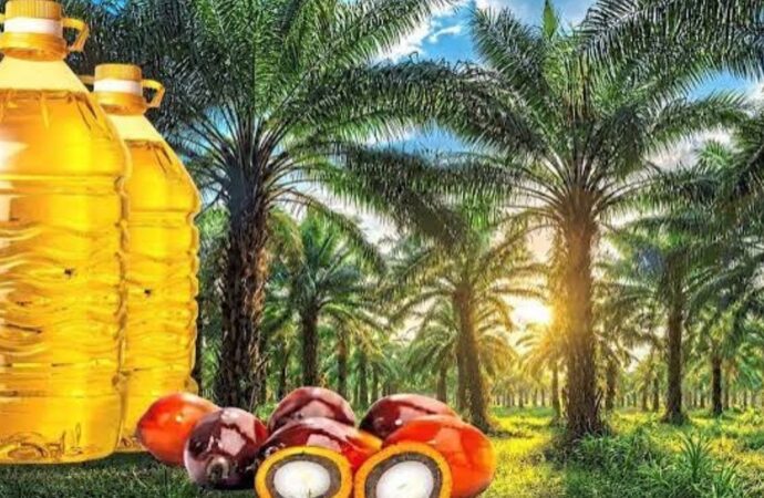 বিশ্ববাজারে পাম অয়েলের দাম ৩ দশমিক ৮০ শতাংশ বৃদ্ধি