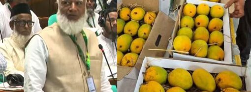 সংসদের সবাইকে আম উপহার দিলেন জামায়াত আমির