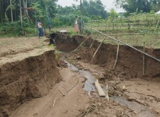 নদীভাঙনে কৃষিজমি হারানোর শঙ্কা, দ্রুত সংস্কারের দাবি কৃষকদের