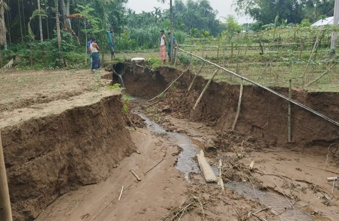 নদীভাঙনে কৃষিজমি হারানোর শঙ্কা, দ্রুত সংস্কারের দাবি কৃষকদের