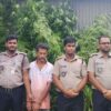 পাটক্ষেতের আড়ালে গাঁজা চাষ, অভিযানে গ্রেফতার ১