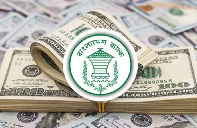 প্রবাসী আয়ে রিজার্ভের পালে সুবাতাস