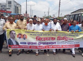 ডেমরায় বিএনপির বিক্ষোভ মিছিল ও বৃক্ষরোপণ