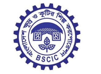 বিসিক শিল্পনগরীতে বিনিয়োগ বাড়লেও রপ্তানিতে ধস