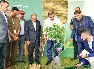 আসুন সবুজ বসতি গড়ে তুলি: প্রধানমন্ত্রী