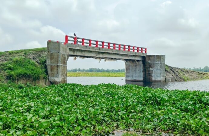 সরিষাবাড়ীতে ব্রিজ নির্মাণের দুই বছর পর সংযোগ সড়ক, জনমনে স্বস্তি